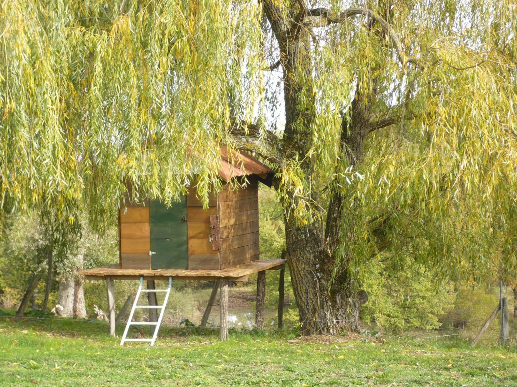 Les Convertigues Montjoire Esterno foto
